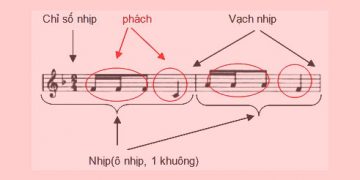 Số chỉ nhịp